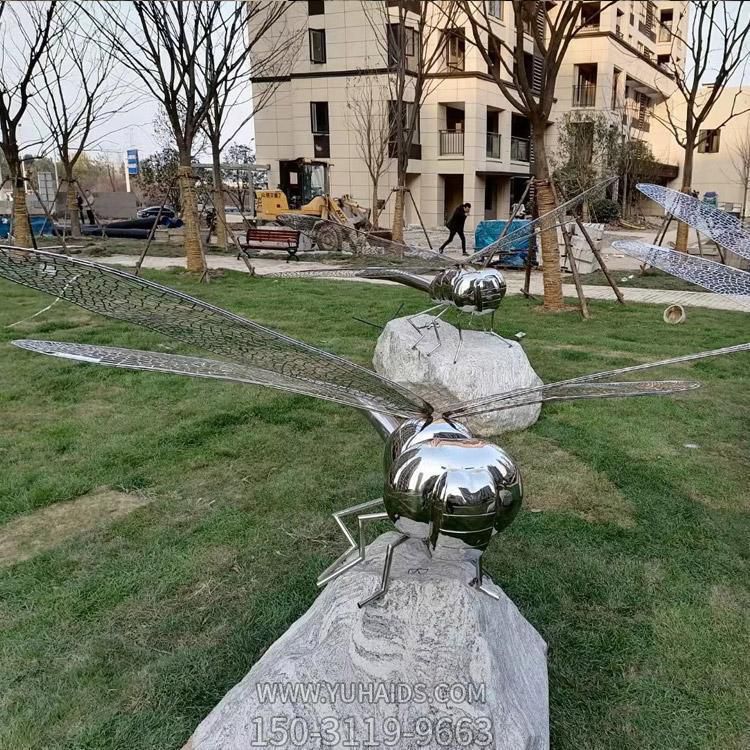 不銹鋼蜻蜓，身體是鏡面效果，翅膀由鐵藝網(wǎng)格構(gòu)成雕塑