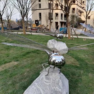 不銹鋼蜻蜓，身體是鏡面效果，翅膀由鐵藝網(wǎng)格構(gòu)成